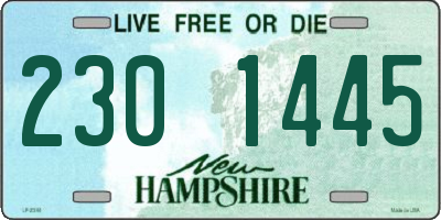 NH license plate 2301445