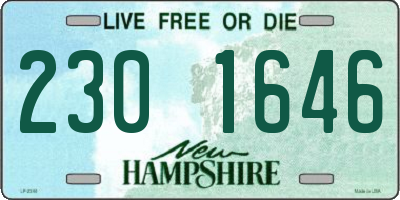 NH license plate 2301646