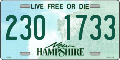 NH license plate 2301733