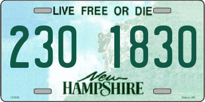 NH license plate 2301830