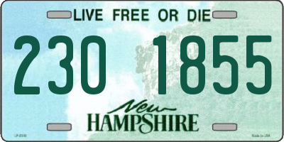 NH license plate 2301855