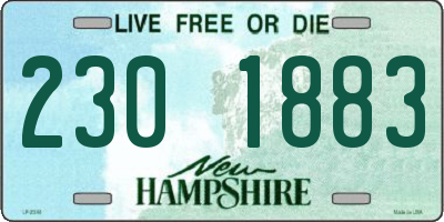 NH license plate 2301883
