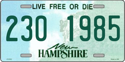 NH license plate 2301985