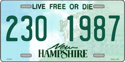 NH license plate 2301987