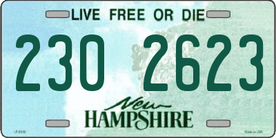 NH license plate 2302623