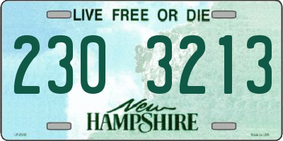 NH license plate 2303213