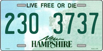 NH license plate 2303737