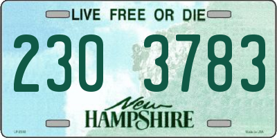 NH license plate 2303783