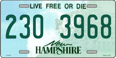 NH license plate 2303968