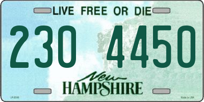 NH license plate 2304450