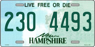 NH license plate 2304493