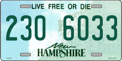 NH license plate 2306033