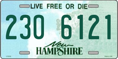 NH license plate 2306121