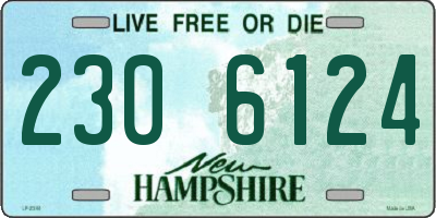 NH license plate 2306124