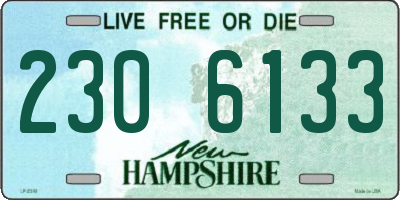 NH license plate 2306133