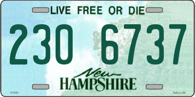 NH license plate 2306737