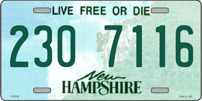 NH license plate 2307116