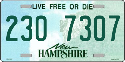 NH license plate 2307307