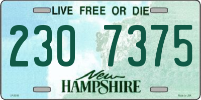 NH license plate 2307375