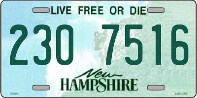 NH license plate 2307516