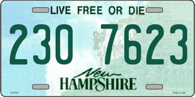 NH license plate 2307623
