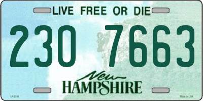 NH license plate 2307663