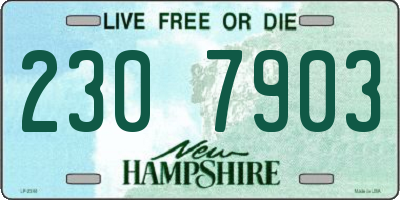 NH license plate 2307903