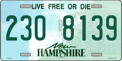 NH license plate 2308139