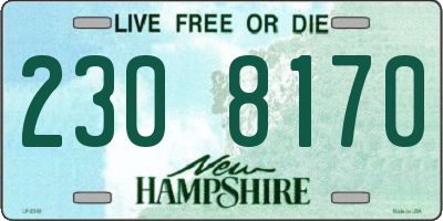NH license plate 2308170