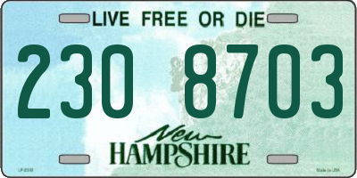 NH license plate 2308703