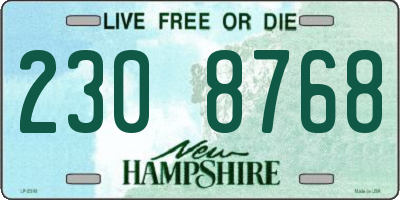 NH license plate 2308768
