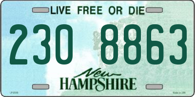 NH license plate 2308863