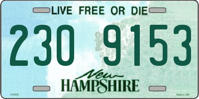 NH license plate 2309153