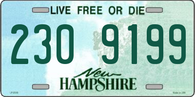 NH license plate 2309199