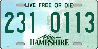 NH license plate 2310113