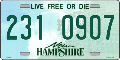 NH license plate 2310907