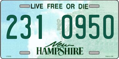 NH license plate 2310950