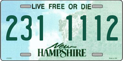 NH license plate 2311112
