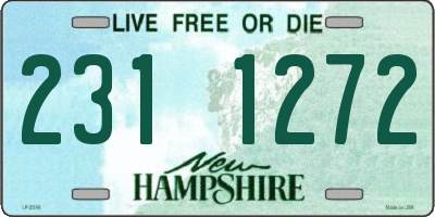 NH license plate 2311272