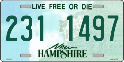 NH license plate 2311497
