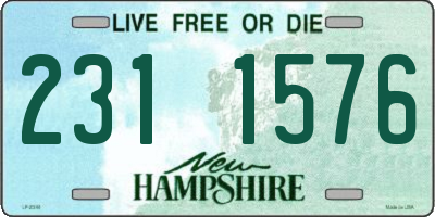 NH license plate 2311576