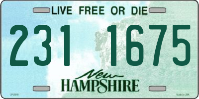 NH license plate 2311675
