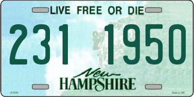 NH license plate 2311950