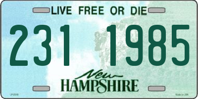 NH license plate 2311985