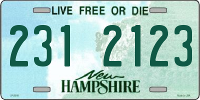 NH license plate 2312123