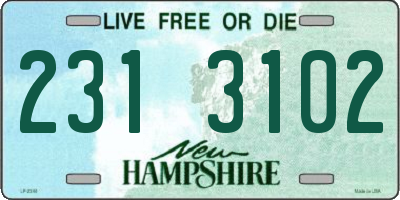 NH license plate 2313102