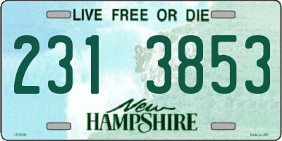 NH license plate 2313853