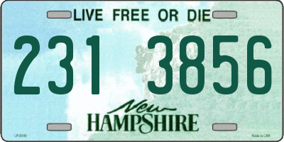 NH license plate 2313856