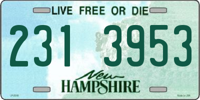 NH license plate 2313953
