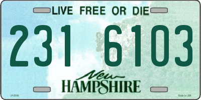 NH license plate 2316103